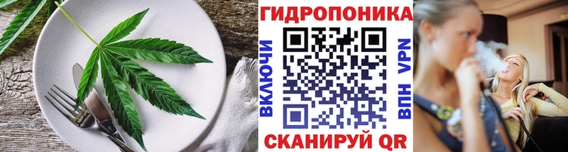 Купить где Медвежьегорск Cannafood конопля