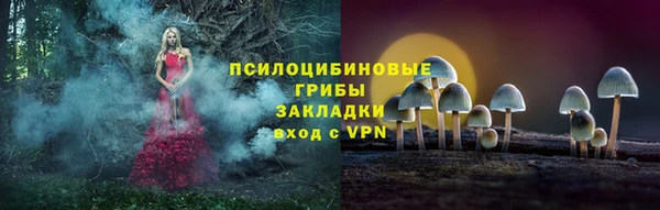 ПСИЛОЦИБИНОВЫЕ ГРИБЫ Володарск