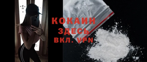гидра Вяземский
